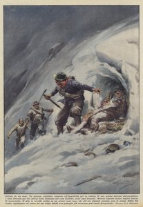 Salvado por un perro