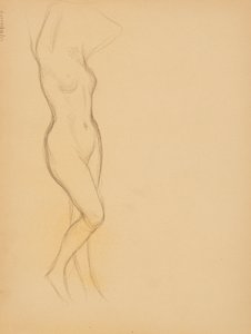 Desnudo