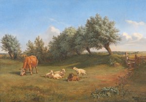 Un campo