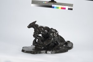 Canguro y perro