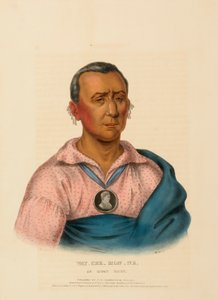 WAT-CHE-MON-NE, UN JEFE IOWAY, de Historia de las Tribus Indias de Norteamérica