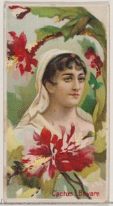 Cactus: Cuidado, de la serie Bellezas Florales y Lenguaje de las Flores N75 para Duke, 1892