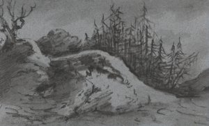 Composición de rocas y pinos