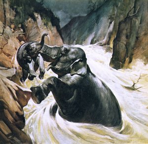 Elefante salvando a su cría