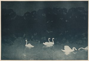 los cisnes