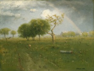 Después de una lluvia de verano