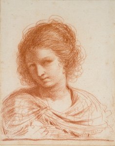 Cabeza de una joven, 1550-1666