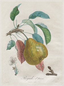 Tratado de los árboles frutales: Royal dhiver, 1808-1835