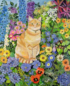 Gato de Gordon, 1996
