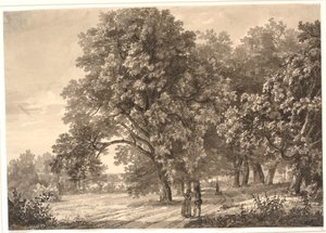 Vista de un camino en un bosque cerca de Sorø, Selandia