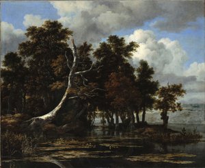 Robles en un lago con lirios de agua