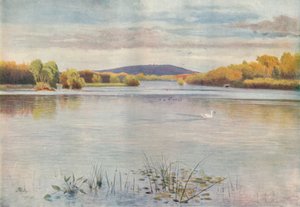 Estanque Vachery, 1911, 1914