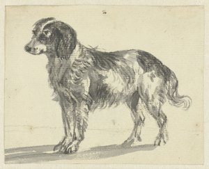 perro de pie