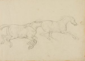 Dos caballos galopan hacia la derecha