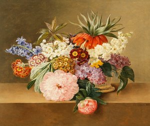 Iris, lilas, prímulas, flores y peonías en una canasta
