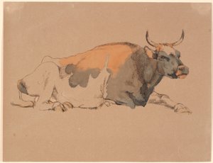 Vaca tumbada roja y negra