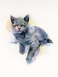 Gatito gris