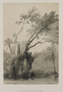 Egipto y Nubia, Volumen III: El Árbol Sagrado de Metereah, 1849