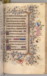 Horas de Carlos el Noble, Rey de Navarra 1361-1425: fol. 237r, Texto