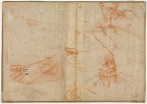 Estudios de figuras para el techo de la Capilla Sixtina (verso)