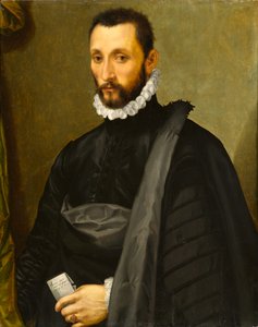 Retrato de un caballero, 1575