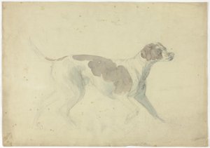 Fox Hound (anverso); Bocetos de caballo y jinete (reverso)