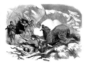 La estrecha escapada de Jack Curling de un oso feroz, 1855
