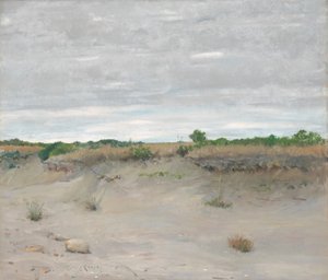 Arenas barridas por el viento, 1894