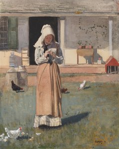 El pollo enfermo
