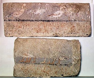 Pintura mural que representa aves, Reino Antiguo de Egyptian 5th Dynasty