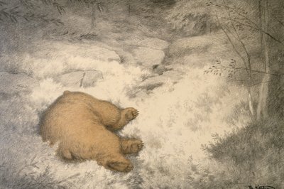 El oso duerme en el brezo de arándanos de Theodor Severin Kittelsen